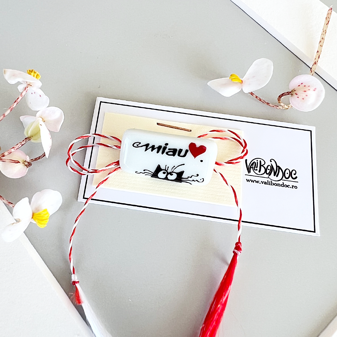 Pisica brosa martisor (miau♥️)